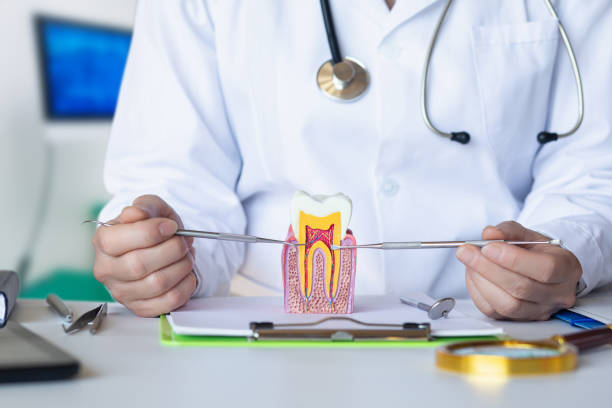 Best Emergency Tooth Extraction in Danvers, IL